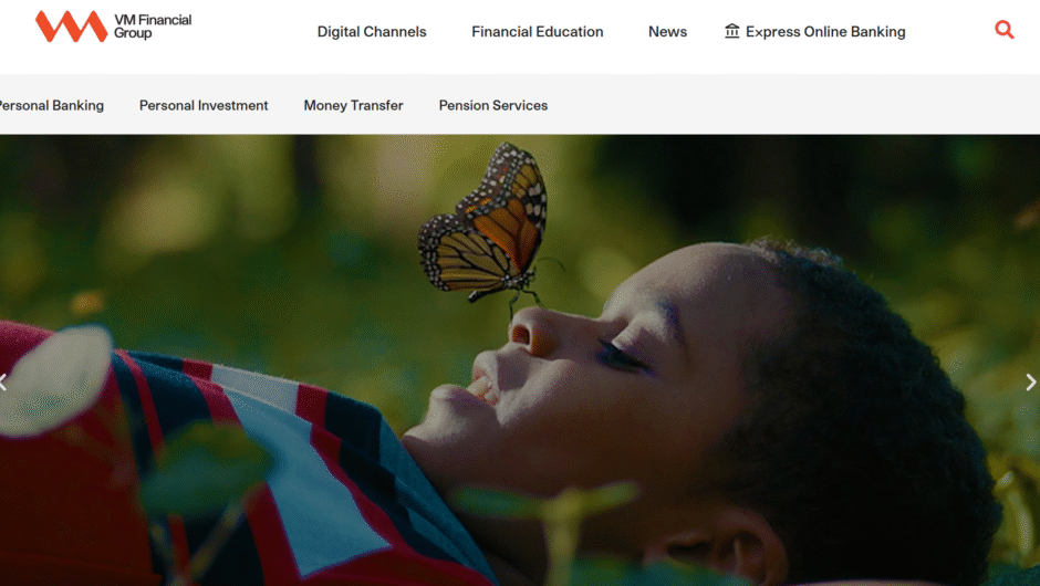 VM Wealth Funds — отзывы и анализ структуры: что важно знать потенциальным клиентам