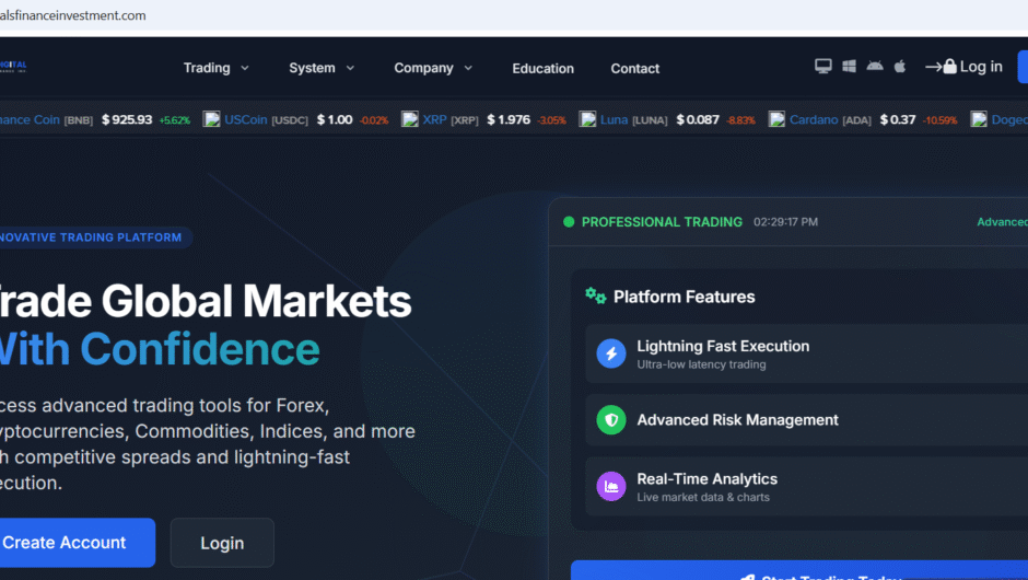 Digitals Finance Investment — Отзывы, Вывод, Детальный разбор компании